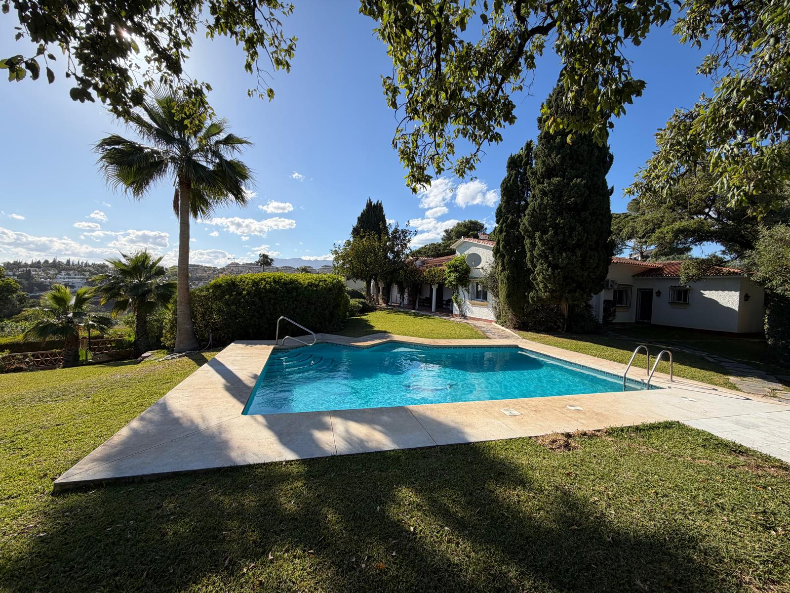 Pool mit Palmen und Bergblick